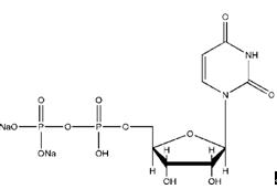 UDP-Na2