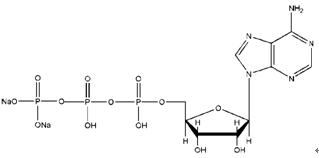 ATP-Na2