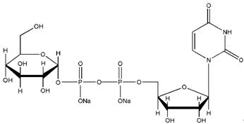 UDPG-Na2